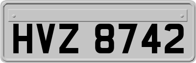 HVZ8742