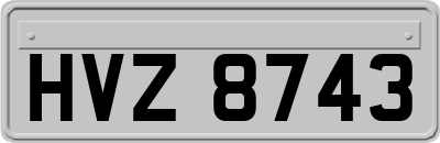 HVZ8743