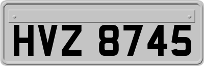 HVZ8745