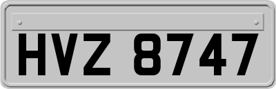 HVZ8747