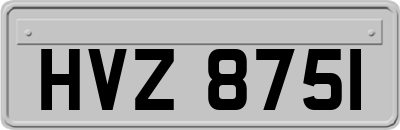 HVZ8751
