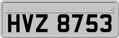 HVZ8753