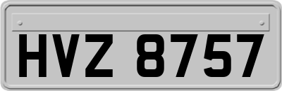 HVZ8757