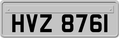 HVZ8761