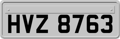 HVZ8763