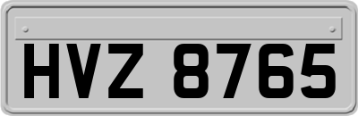 HVZ8765