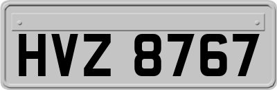 HVZ8767