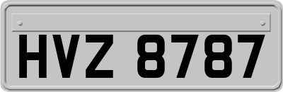 HVZ8787