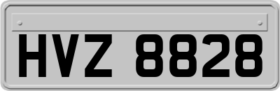 HVZ8828