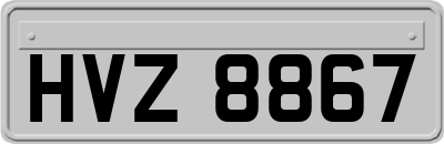 HVZ8867