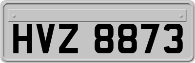 HVZ8873