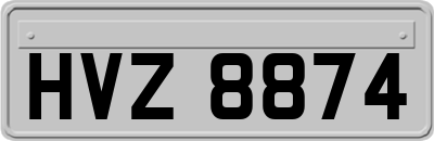 HVZ8874