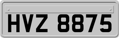 HVZ8875