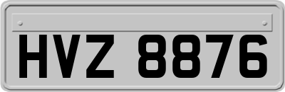 HVZ8876