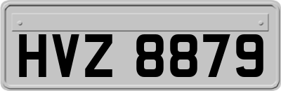 HVZ8879