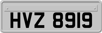 HVZ8919