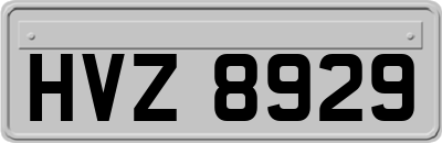 HVZ8929
