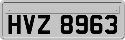 HVZ8963
