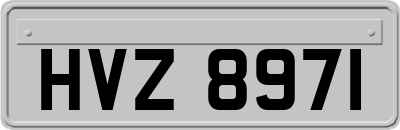 HVZ8971