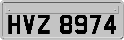 HVZ8974