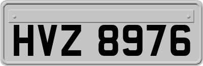 HVZ8976