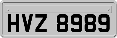 HVZ8989
