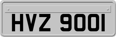 HVZ9001