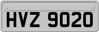HVZ9020