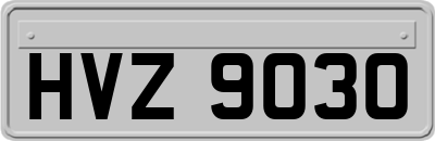 HVZ9030