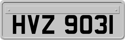 HVZ9031