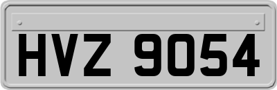 HVZ9054