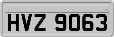 HVZ9063