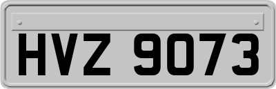 HVZ9073