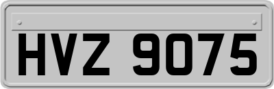 HVZ9075