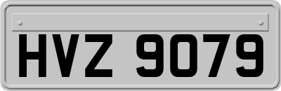 HVZ9079