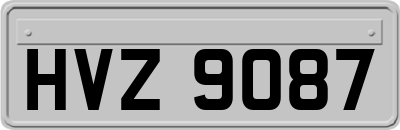 HVZ9087