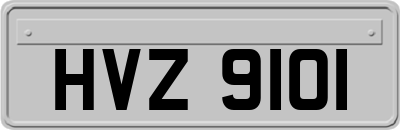 HVZ9101