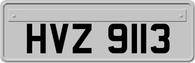 HVZ9113