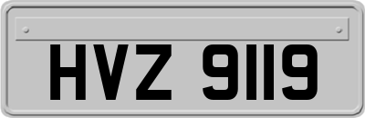 HVZ9119