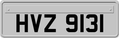 HVZ9131