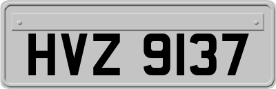 HVZ9137