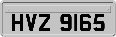 HVZ9165