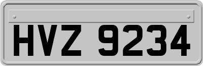 HVZ9234