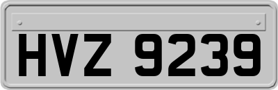 HVZ9239