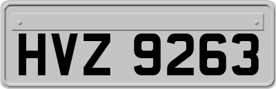HVZ9263