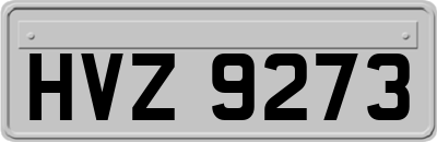 HVZ9273