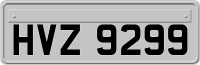 HVZ9299