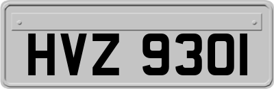 HVZ9301