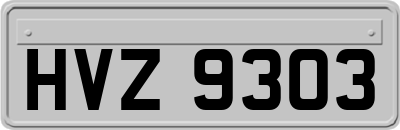 HVZ9303