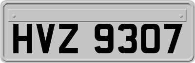 HVZ9307
